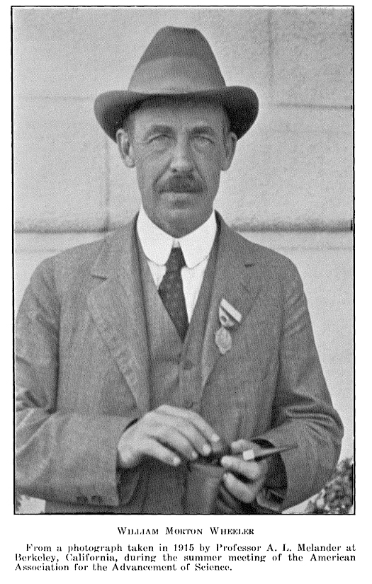 Wheeler 1915