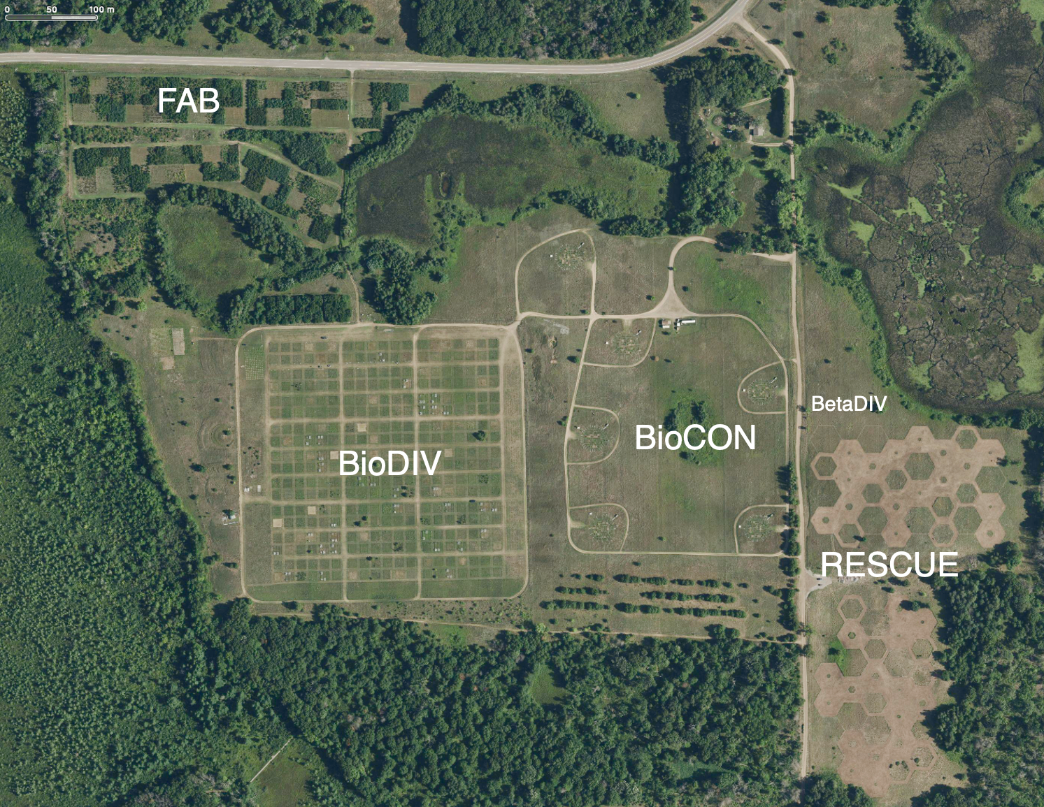 Isbell Research Image