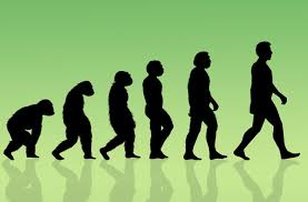 Evolution