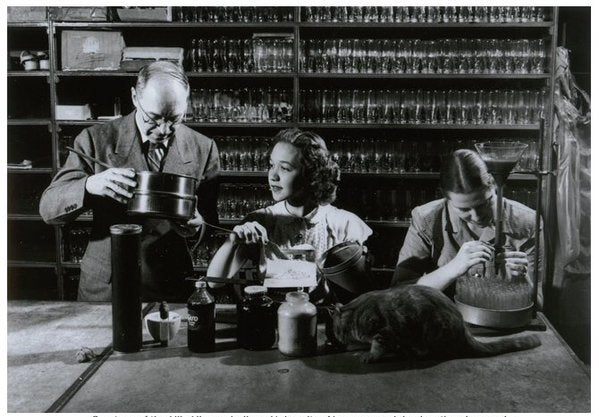 library-muller