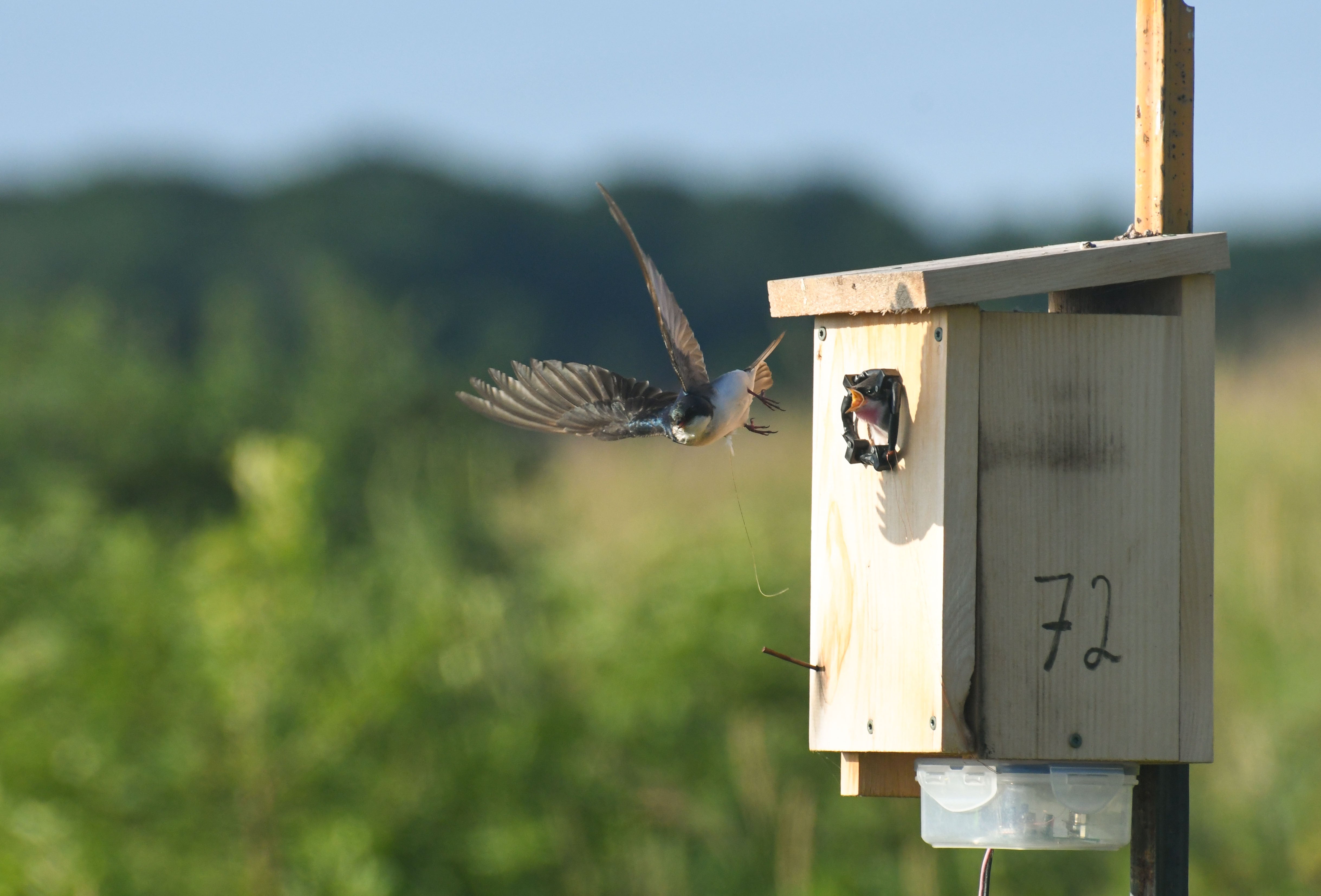 Organismal Resilience in a Changing World