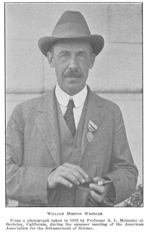 wheeler1915